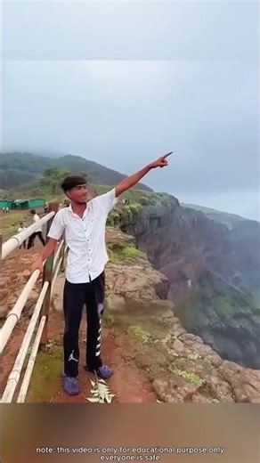 A rollerblading dog really exists!