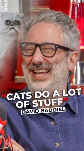 TV History Is Made: David Baddiel brings us The First Ever TV Series About CATS tonight😱🐈 | Virgin Radio UK
