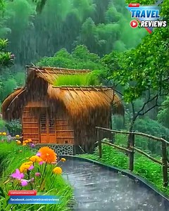 357K views · 10K reactions | amazing rainy day 李 | One travel reviews | Facebook