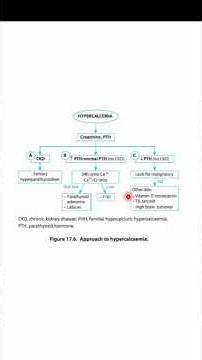 Algorithm 17 : Hypercalcemia