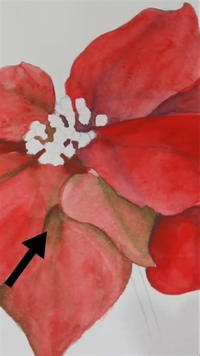 Color Theory Experiment #watercolor #colortheory