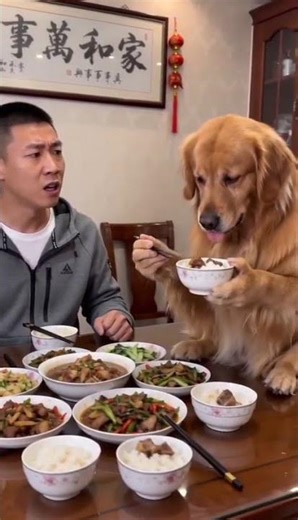 Bai Bai's Table Talk: Why All the Shouting? ZaiZaiDiningDrama