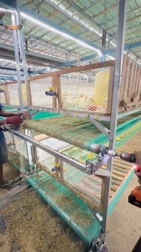 conveyor belt system for poultry. #reels #trending #viral @topfans | DeloWar Entrepreneur