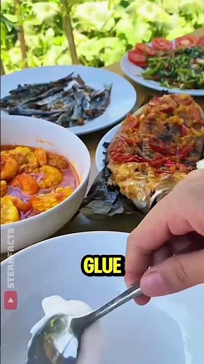 How Indonesians Turn Sago Palm Trees Into Food for Thousands 🌴