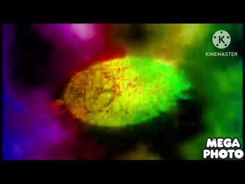 Producciomes naomi intro in Dma diamond