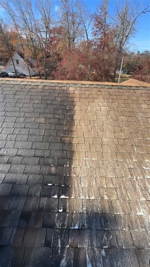 🏠✨ Mid-wash roof transformations never get old. In this clip, you’ll see one side of the roof still dark and streaked, while the other side has already been treated with our soft wash solution. That “black” you’re seeing isn’t dirt — it’s a mix of algae and a colony of bacteria called Gloeocapsa magma, which is the main culprit behind those long black streaks on shingles. Once treated correctly, the difference is immediate. This roof went from looking almost solid black to revealing its true co