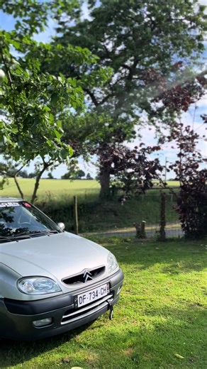 mathys ツ sur TikTok