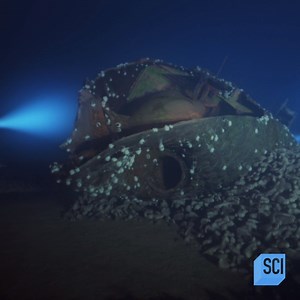 Can you guess what caused this shipwreck? 🔍 Based on damage to the exterior, maritime archeologists believe that this submarine was attacked from above. Tune in to the premiere of #AbandonedExpeditionShipwreck tomorrow at 10p ET on Science Channel and discovery (Default) to find out the full story. | Science Channel