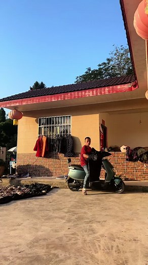 Delicious Chinese Braised Duck Recipe