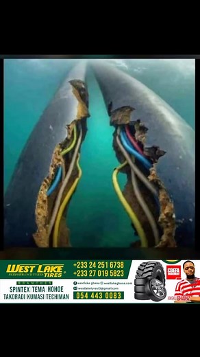 Now Sharks 🦈 Dey Chop Wire ....ok bye 🚶🏾‍♂️ | Kweku Chainz Page