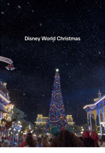 You must go!! My sister and I go every year with her kids and it’s always so magical!! ✨✨