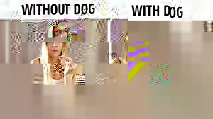 Indisputable reasons to own a dog: goo.gl/06SwDZ 🐶 | Bright Side