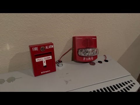 Simplex 4906-9134 Chime Strobe