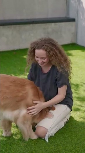 Dog licking girl 😘 #shorts #cutepuppy #cutedogs #labrador #dogs #dogslover #puppyvideos #dogplaying