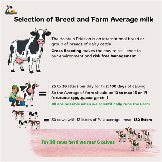 The Smart Dairy Farmer’s Blueprint