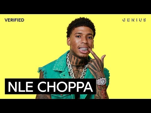 NLE Choppa "Slut Me Out 2" Official Lyrics & Meaning | Genius Verified