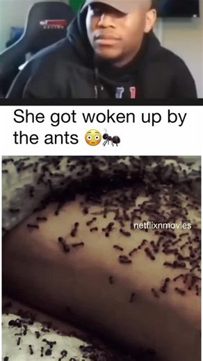 movie's en...memes | matthias schweighöfer und emma myers?? 🎥 family switch: The Walkers are a nuclear family of five: Mom Jess, Dad Bill, 16 year old daughter... | Instagram