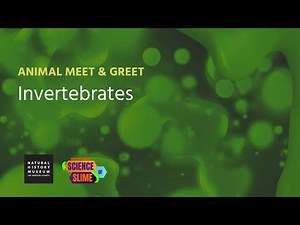 Animal Meet & Greet: What Do Bugs Use Slime For?