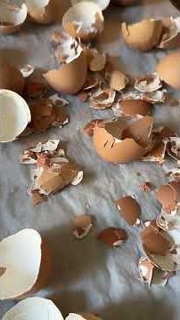 DIY Eggshell Calcium Powder