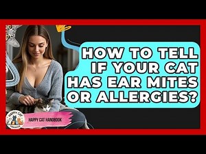 How To Tell If Your Cat Has Ear Mites Or Allergies? - Happy Cat Handbook