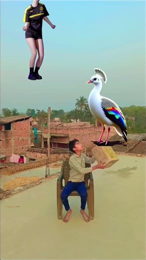 frying crying babies VS dancing girl, gorilla, bird #vfx #vfxshorts #youtubeshorts #shorts