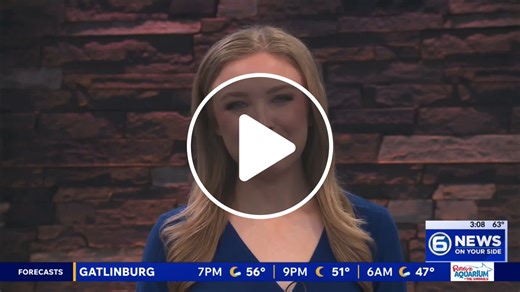 Piece of Davy Crockett’s family home donated to the Alamo - NewsBreak