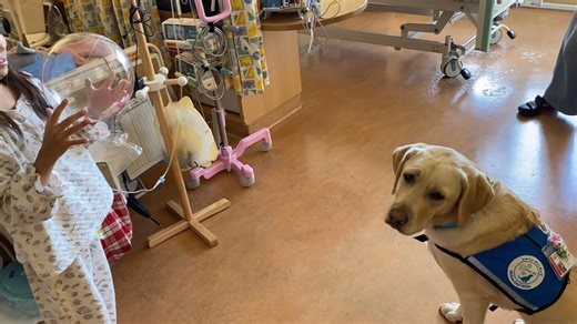 Japan - The Government of Japan on Reels