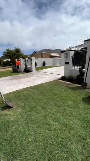 Topiary Installation: Spiral and Ball Styles