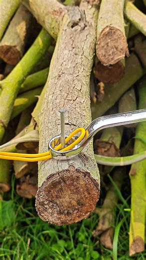 This Trick Makes No Sense Wire Through Ring ✅👍 #shorts #lifeskills #shortsfeed