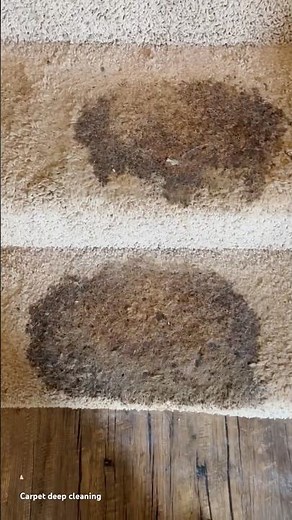 From disaster to spotless | no stains, no smell | watch till the end 📍Dallas – Fort Worth ( DFW )