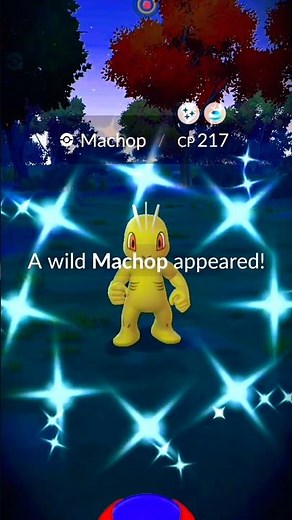 Rare Wild Shiny Machamp Encounter | Pokémon GO #pokemongo