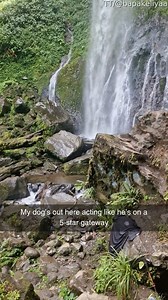 Wake me up when dinner's served, please and thank you. | Cheezburger