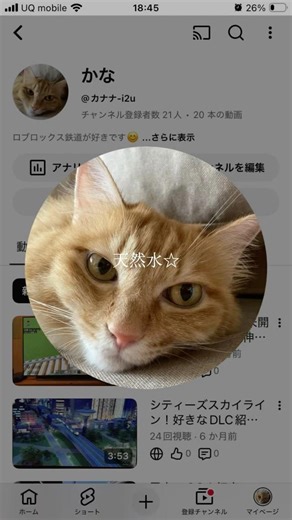 なんか作った(テンプレ使用)