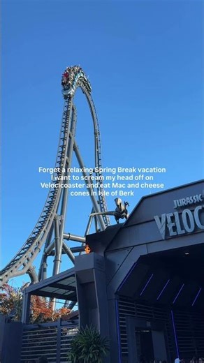 Send this to your spring break buddy Make sure youre on the same page #universalorlando #travelagent