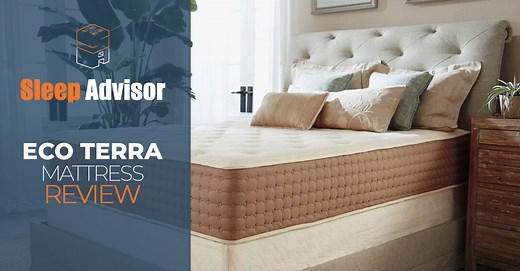 Eco Terra Bed Review (Expert Tested) - Sleep Advisor