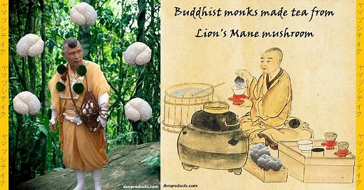 The nerve tissue healer medicinal mushroom: Lion's Mane