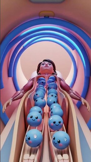 How MRI Scans See Inside Your Body Without Cutting You Open!