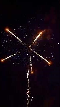 1.2'' Multi-Effect Consumer Fireworks | Palm/Strobes/Time Rain/Chrys/Titanium Willow | Epic Show