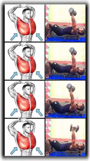 39K views · 97 reactions |  CHEST WORKOUT DUMBBELLS  ✅✅ HOME CHEST WORKOUT FOR BEGINNER ⏰⏰ 4 SET * 8 - 12 REPS ⏰⏰ ☎️☎️ TRAINING WHAT'S APP +917759925159 - #baapukafitness #chest #chestworkout #homeworkout #workout #fitness #fitnessmotivation #bodybuilding #calisthenics #aesthetic #gym #athlete #personaltrainer #explore | Satrudhan Kumar Sutihar | Facebook
