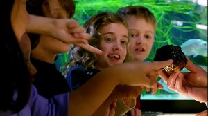 Green Is Universal TV Spot, 'Aquarium'