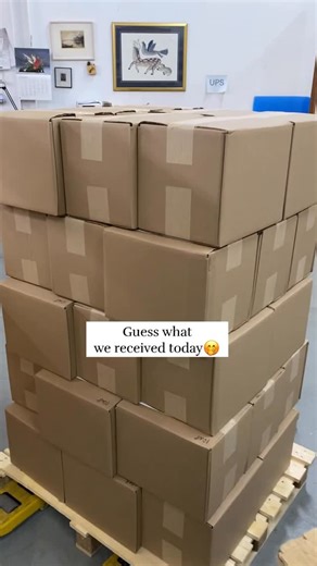 The Japanese Paper Place on Instagram: "We’ve just received our new Chiyogami Pocket-sized Notebooks! Our popular notebook series now comes in a new size and many new Chiyogami patterns 😍 Ask your representative for details or stay tuned on our wholesale website: japanesepaperplace.com #stationery #yuzenpaper #mininotebook"