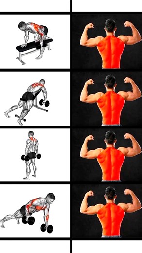 Back Workout | Back Workout At Gym | Gym Workout | Back Day | Arm Workout | Pull Day | Gym #shorts