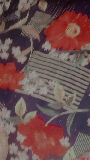 Bhai Hamare Bhabhi Ke Deewane - Haniya Song