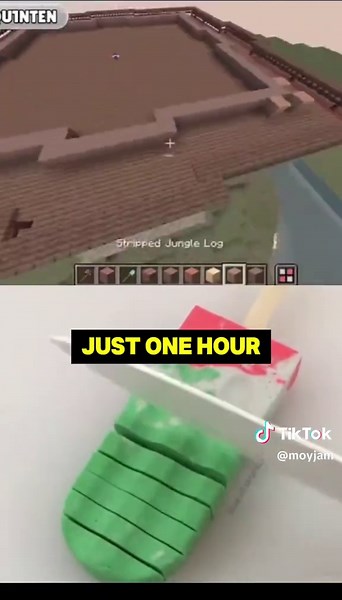MrBeast Minecraft Challenge Part 1