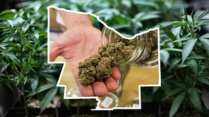 In or out? List of how local towns voted for legalized marijuana sales