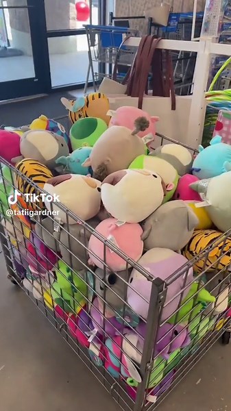 Dream Squishmallows at 5 Below