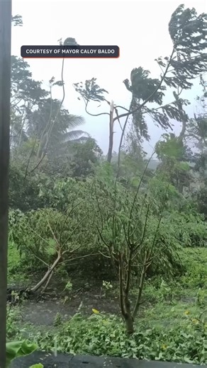 66K views · 763 reactions | WATCH: Intensified winds and heavy rain brought by Super Typhoon Uwan (Fung-wong) are experienced in Camalig, Albay, as of 8 am on Sunday, November 9, 2025. | Video courtesy of Mayor Caloy Baldo For more updates: rplr.co/UwanPH | Rappler | Facebook