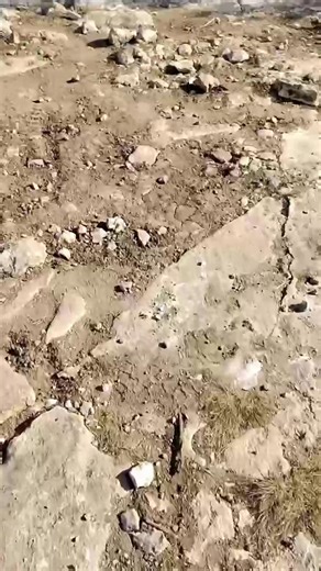 Took Ron’s Jeep out to Hidden Valley Trails yesterday, beautiful day, great ride… until it wasn’t. Ended the evening under the hood again. Not surprised to find another mud dauber nest tucked away causing problems. Jeep life always keeps you on your toes. #HiddenValleyTrails #JeepLife #AlwaysAnAdventure #MudDauberMayhem | Lorrinda Gray-Davis