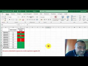 Excel Lesson 8: The IF function explained with 9 examples. There's no Excel without IF!