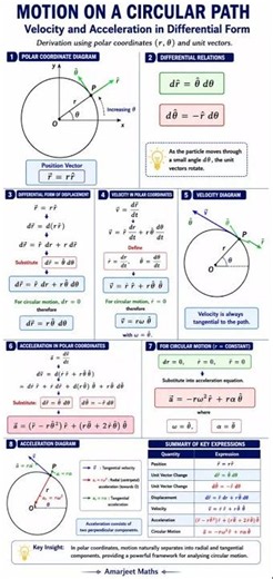 Circular Motion | velocity and acceleration |